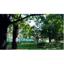 convite para dsf do wer