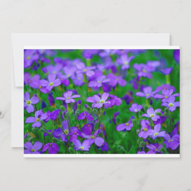 Convite para Flores Violetas (Frente)