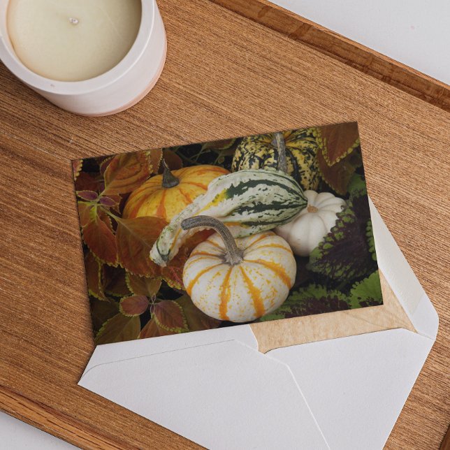 Convite para Janto de Ação de Graças para Colheita (In Situ)