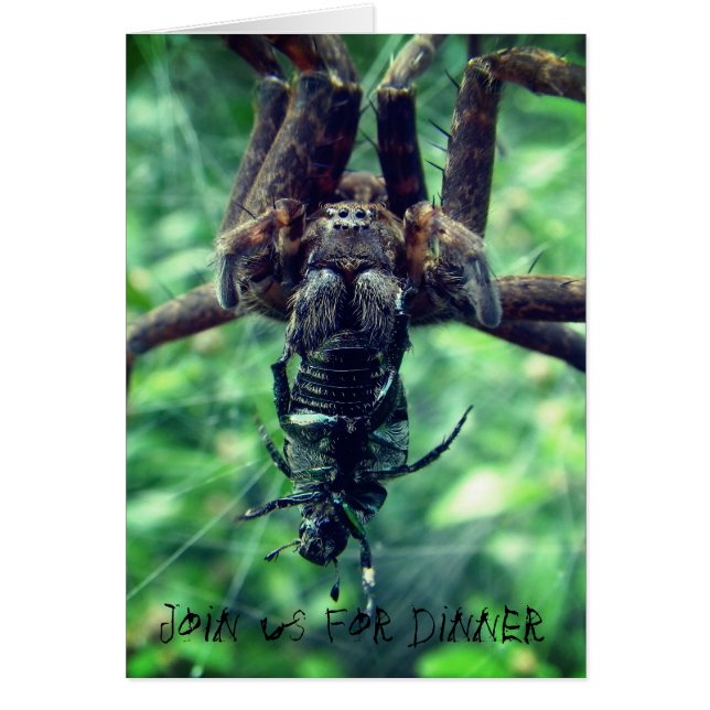 Convite para Janto Spider Halloween (Frente)