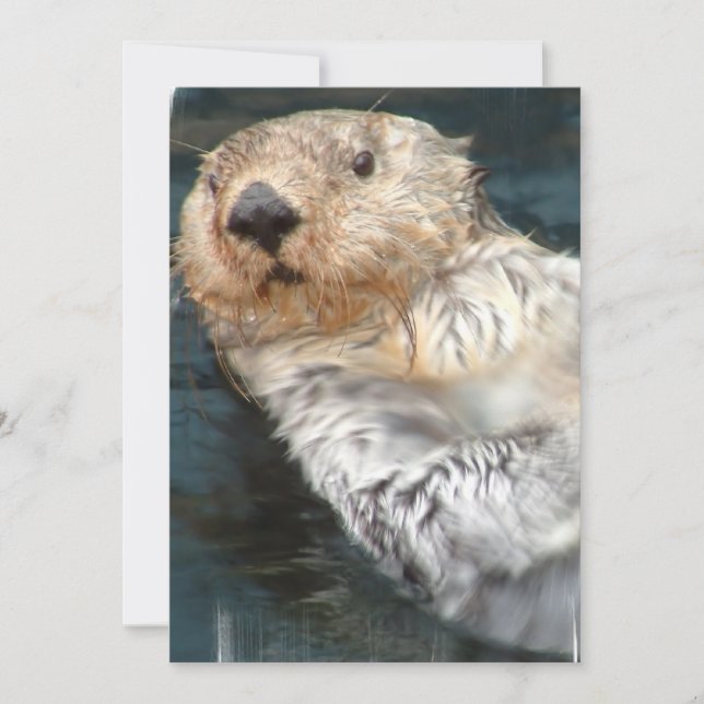 Convite para Lontra Mar (Frente)