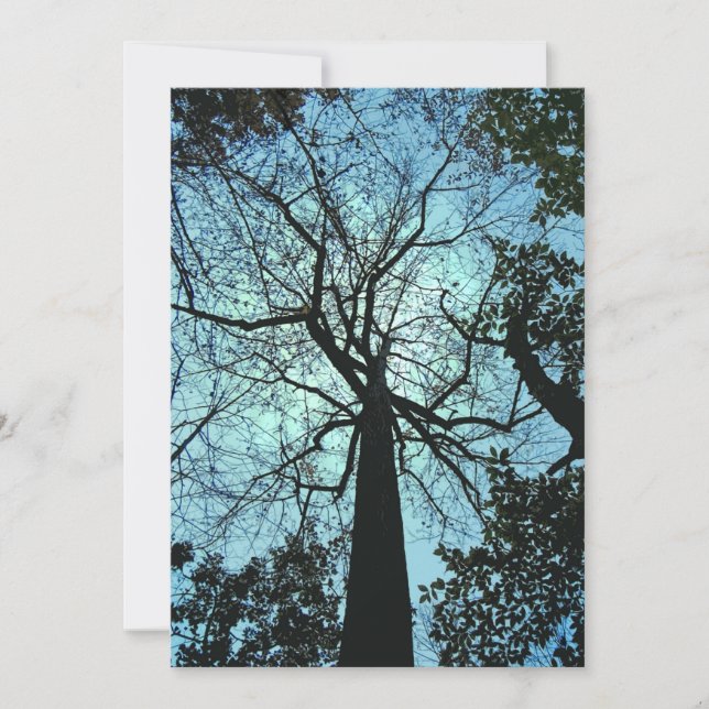 Convite para o Dia das Bruxas de Woods Hunted (Frente)