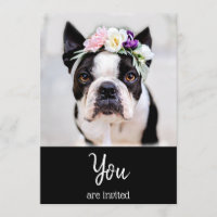 *~* Convite para o Evento do French Bulldog Boniti