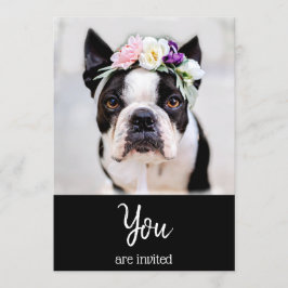 *~* Convite para o Evento do French Bulldog Boniti