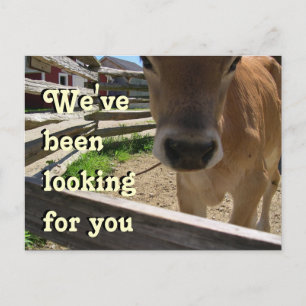 Convite para o Grupo Juventude