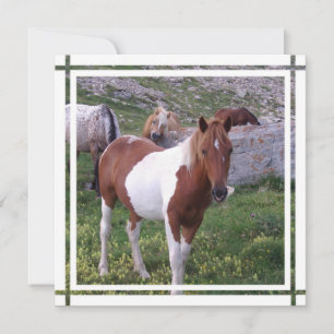 Convite para Paint Horse