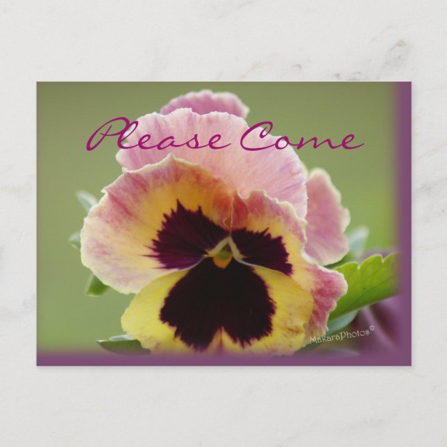 convite para Pansy do yel&pk- personalizar qualque (Frente)