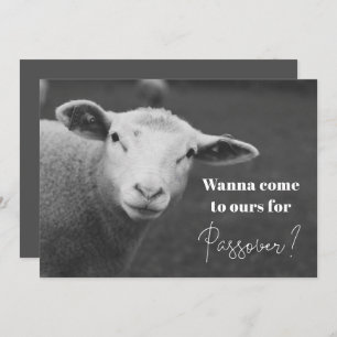 Convite para Passover Divertido