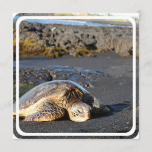 Convite para Tartaruga Marítima