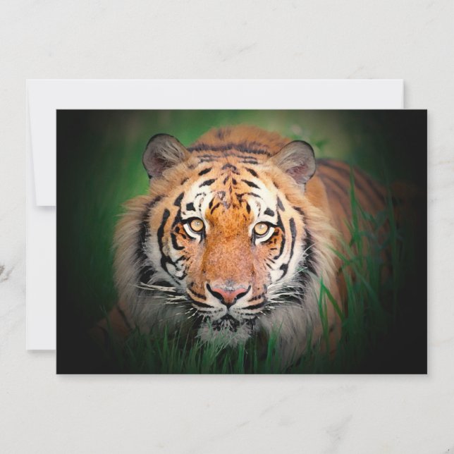 Convite para Tiger (Frente)