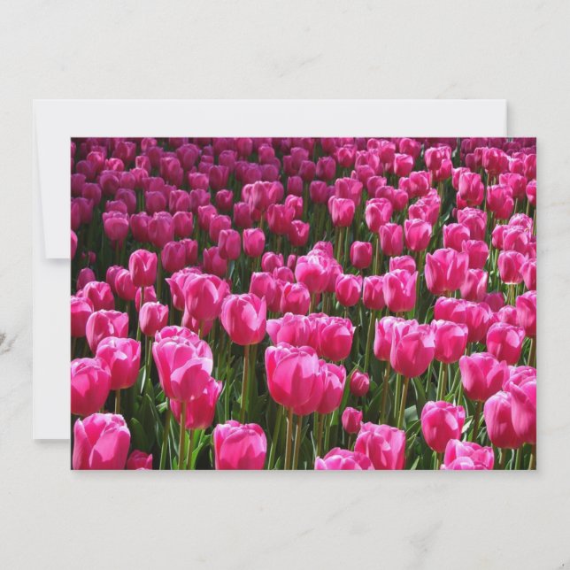 Convite para Tulipas Rosa (Frente)