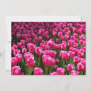 Convite para Tulipas Rosa