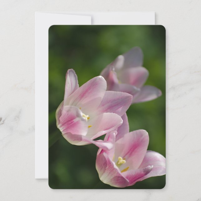 Convite para tulipas rosa (Frente)