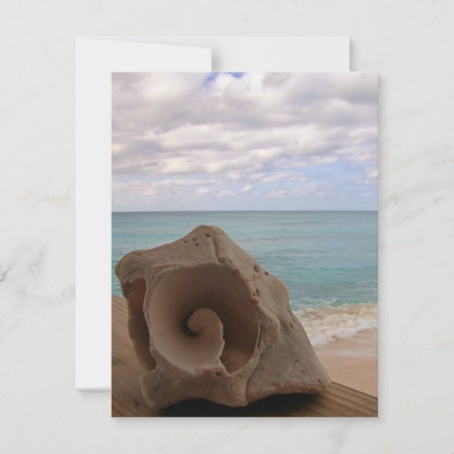 Convite Paraíso de Praia de Seashell (Frente)