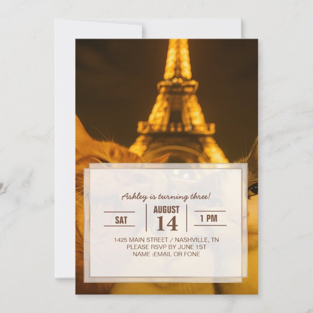 Convite Paris Night Cat Selfie Squad Lover                 (Frente)