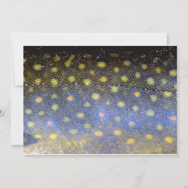 Convite Partido Brook Trout Fish Scales (Frente)