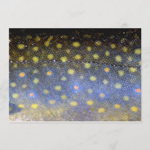 Convite Partido Brook Trout Fish Scales