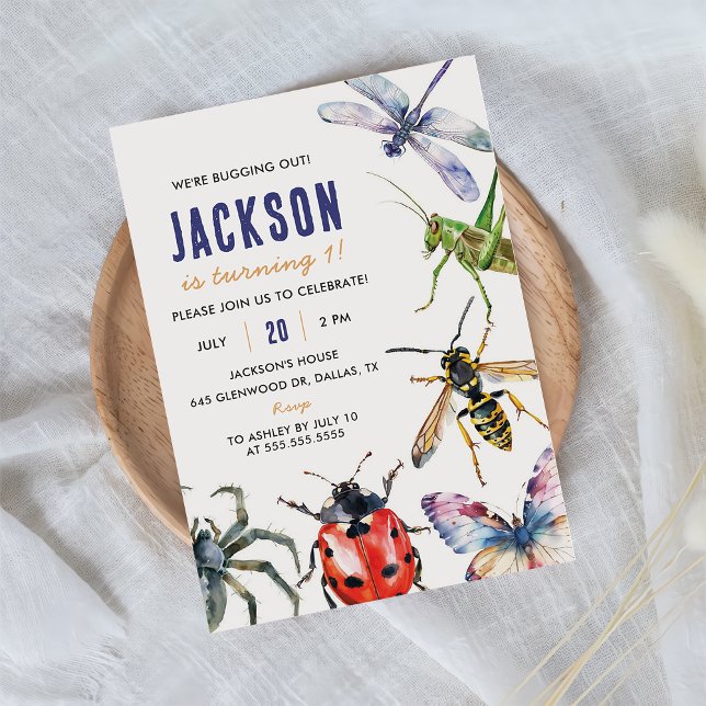 Convite Partido do primeiro aniversario de Insetos da Natu (Criador carregado)