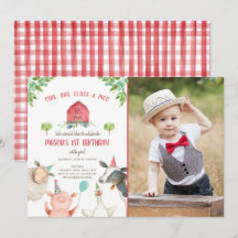 Parto do Quintal Red Gingham Barnyard