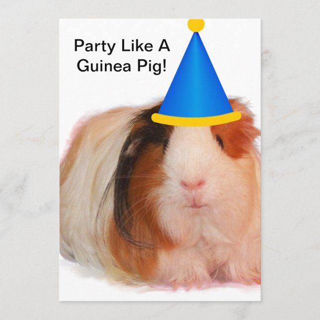 Convite Party Like A Guinea Pig - Party Invitations (Frente)