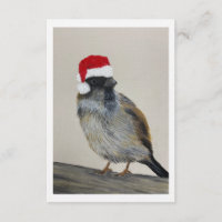 Pássaro de inverno com chapéu de Papai Noel - Obra