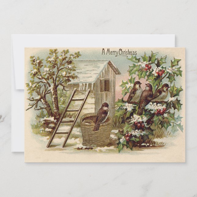 Convite Pássaro de Natal Holly Snow Harvest (Frente)