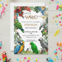Pássaro Papagaio Selvagem Um Cockatoo de Aniversár