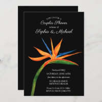 Pássaro Tropical do Chá de panela de Casais do Par