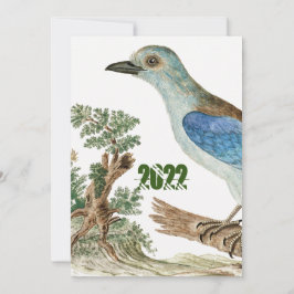 Convite Pássaros Azuis-de-vidro-rolo europeu