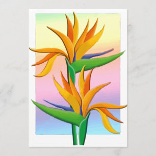Convite Pássaros do Paraíso com o Fundo do Pastel Rainbo