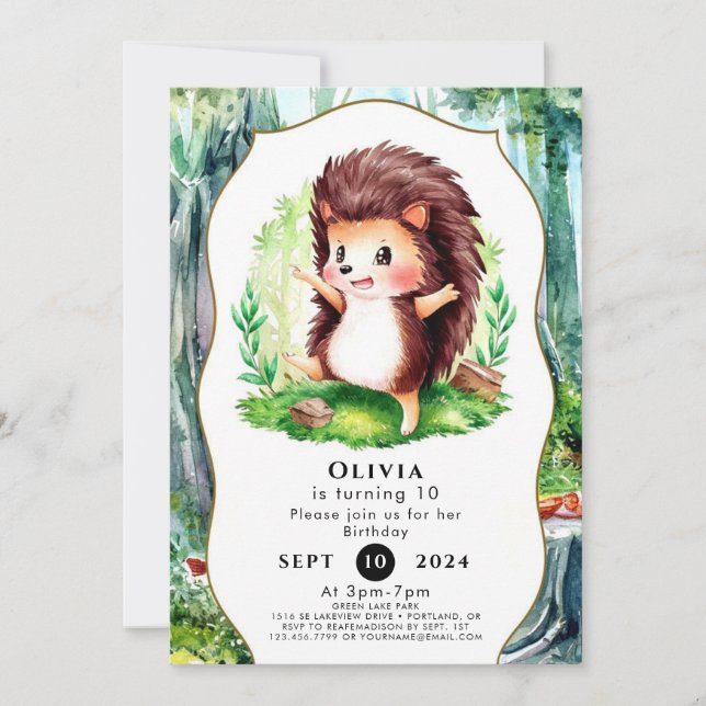 Convite Pastel Magical Hedgehog Aniversário (Frente)
