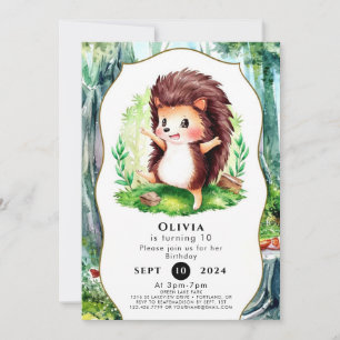 Convite Pastel Magical Hedgehog Aniversário