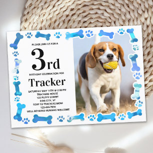 Convite Pata Azul Imprime Cachorros Ossos Foto de Pet de A