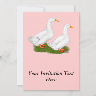 Convite Patos:  Pekins branco