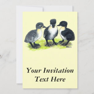 Convite Patos Suecos Azuis