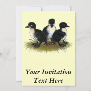 Convite Patos suecos pretos