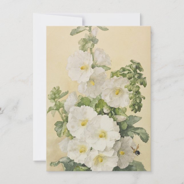 Convite Paul De Longpre - Malvarisas 1901 (Frente)