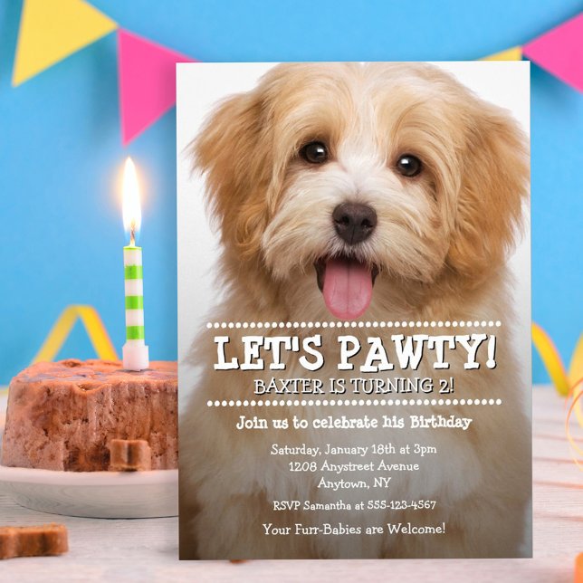 Convite Pawty 2-Photo Pet Birthday (Criador carregado)
