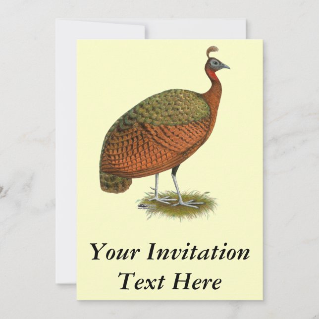 Convite Peafowl do Congo (Frente)