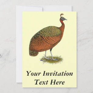 Convite Peafowl do Congo