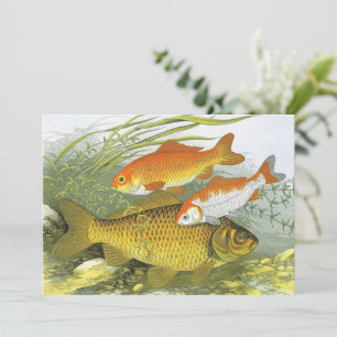 Convite Peixes Koi Goldfish, Vida Marinha Aquática Antiga