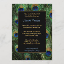 Penas de Peacock - Chá de panela