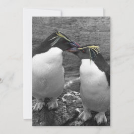 Convite Penguin Colour Splash