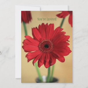 Convite Perfeitamente Bonito