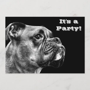 Convite Perfil do cão do pugilista