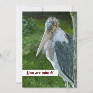 Convite Personalizado Marabou