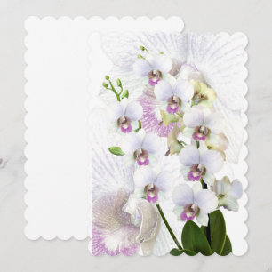 Convite Personalizar Personalizar Destino Personalizado De