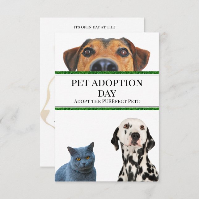 Convite Pet Adotion Day (Frente/Verso)