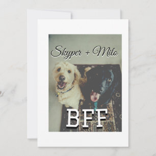 Convite Pet Frities adiciona nome e foto animal amor