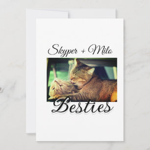 Convite Pet Frities adiciona nome e foto animal amor
